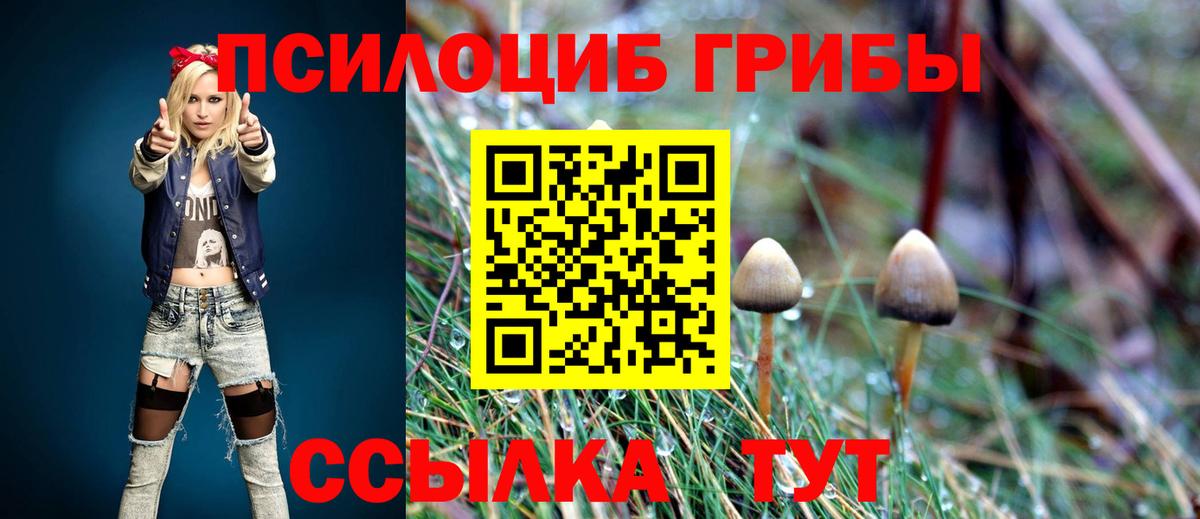 Кириши  Галлюциногенные грибы GOLDEN TEACHER  Вход с VPN 